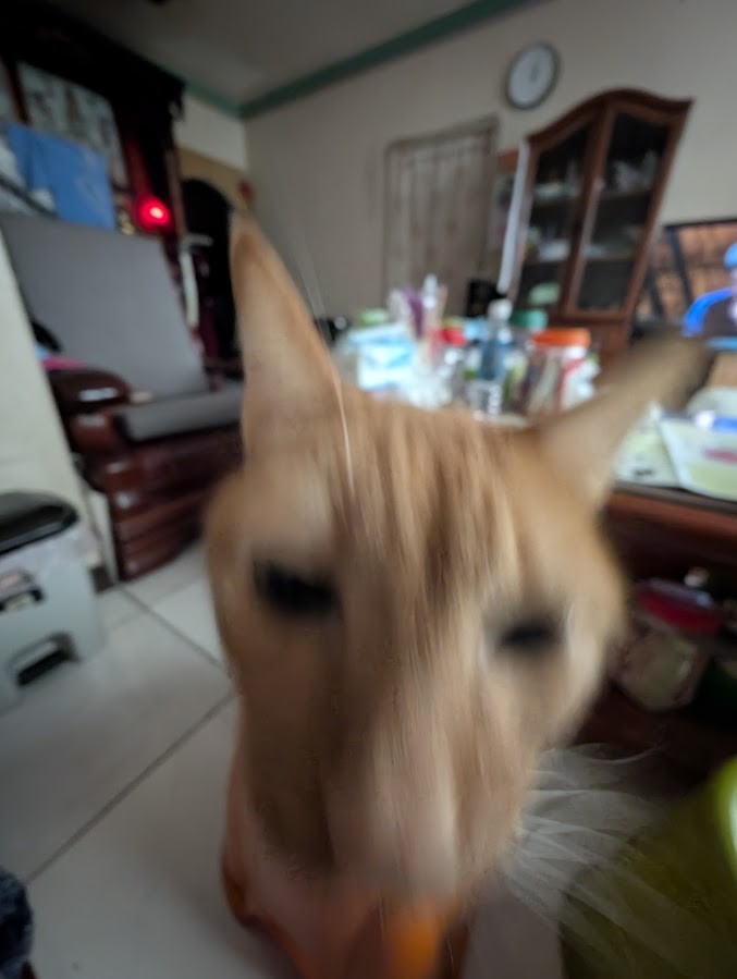 咪寶 大頭照